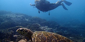 Try Scuba Diving Package
